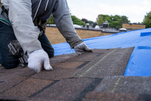 Best Roof Leak Repair  in Sterling Heights, MI