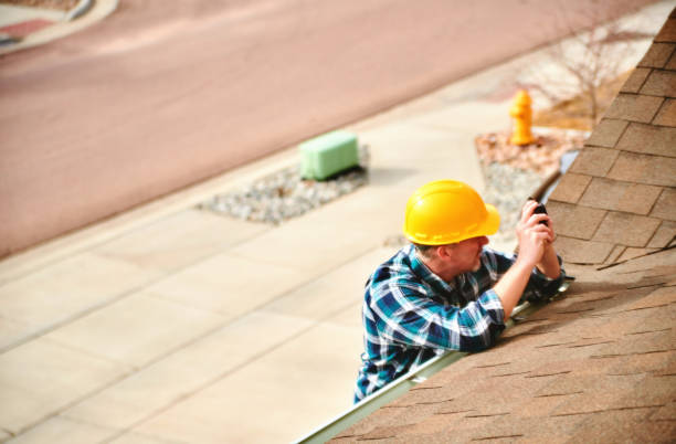 Best Roof Gutter Cleaning  in Sterling Heights, MI